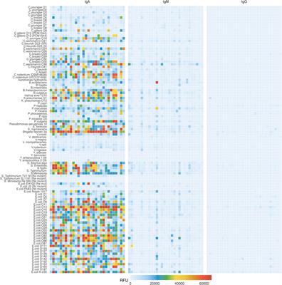 Inter-individual and inter-regional variability of breast milk antibody reactivity to bacterial lipopolysaccharides